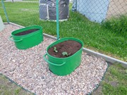 Zahrádka ve školce